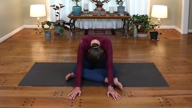 Well Rounded Release