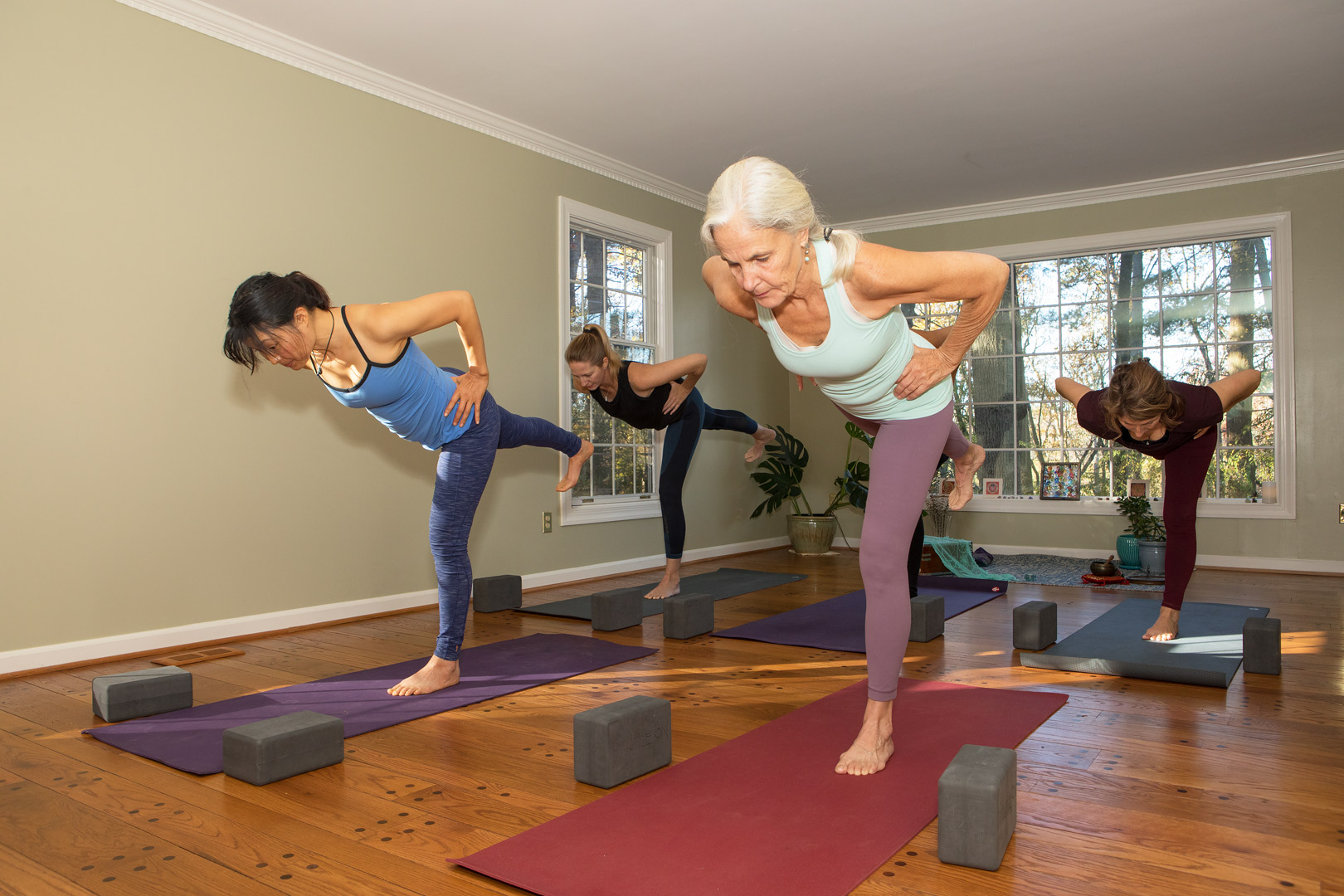 Warrior and Bow Series