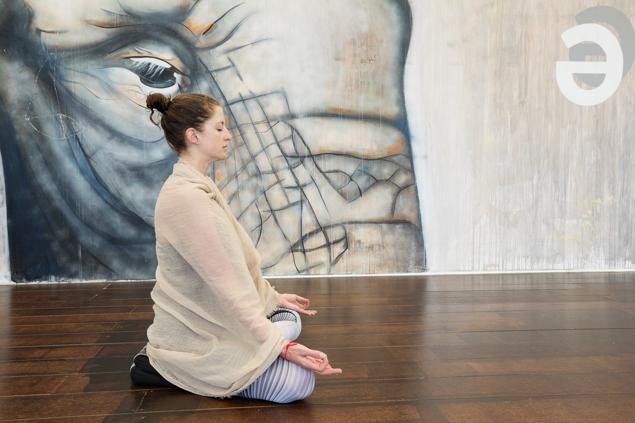 Prānāyāma and Meditation