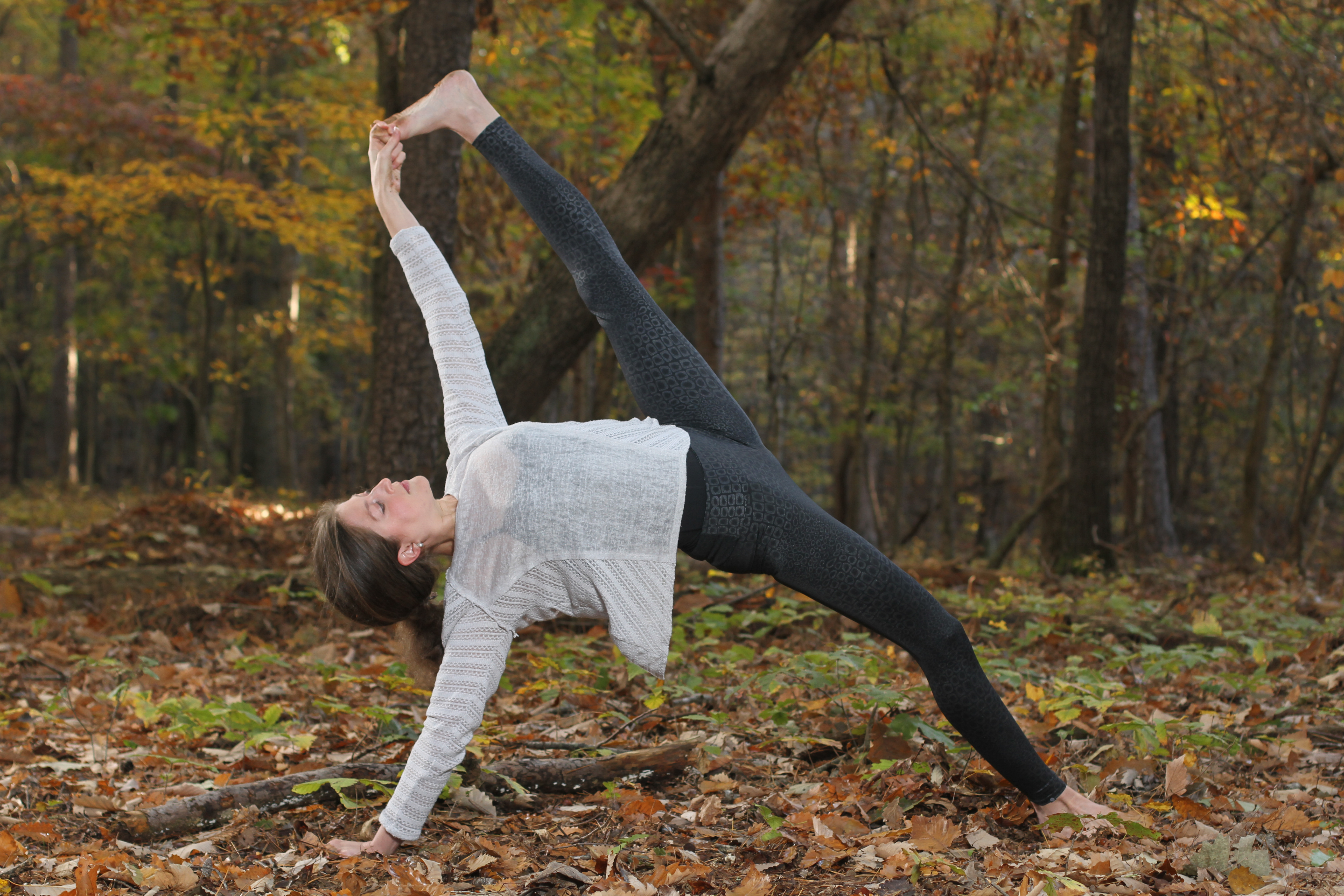 Śīrṣāsana and Vaṣisthāsana