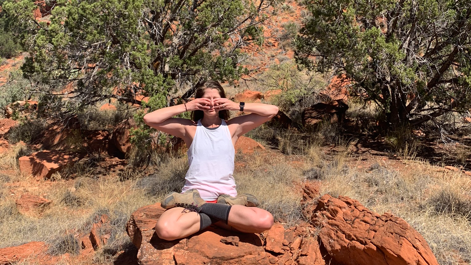 Ṣanmukhīmudrā: to calm the mind and awaken inner awareness