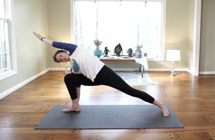Utthita Parśvakoṇāsana Vinyasa- Introductory