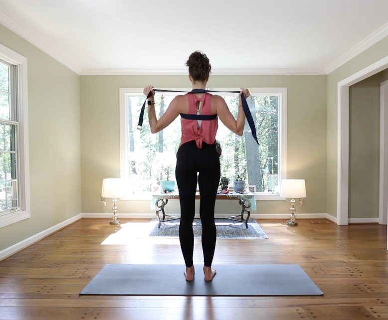 Back to basics 4.1 Finding the shoulder blades