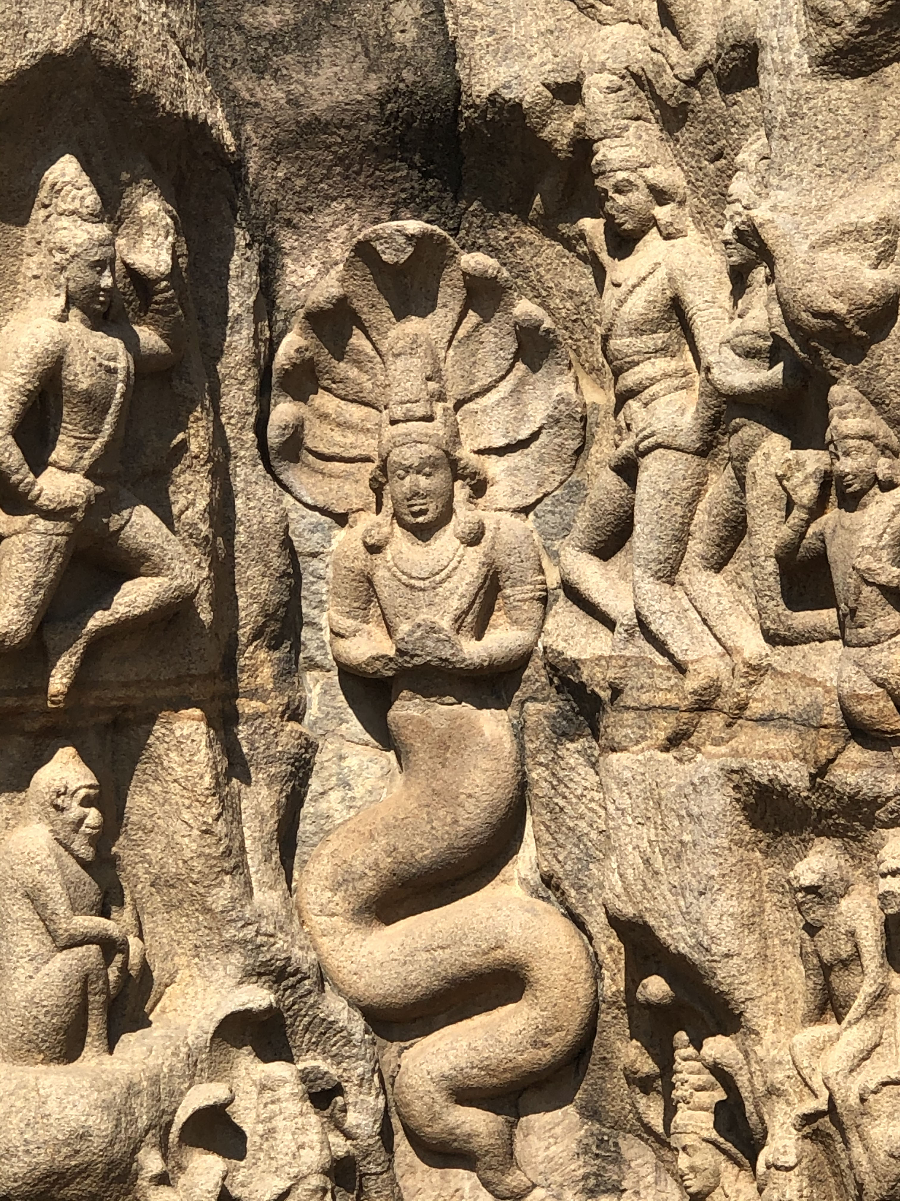 The Yoga Sūtra of Patañjali