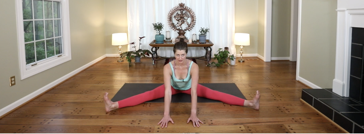 Consciousness and Control