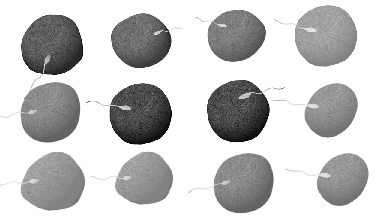 Beyond the Binary Video Series