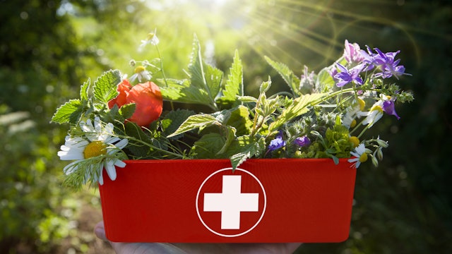 Homeopathy in Surgery and Advanced First Aid