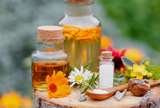 Homeopathy Practicum 2026