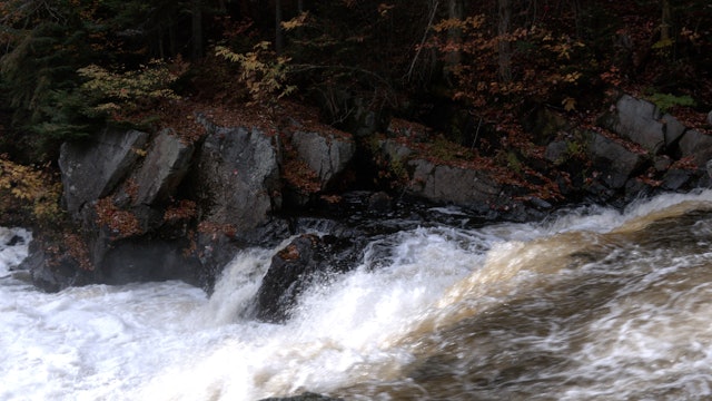 Autumn Colours at Brooks Falls