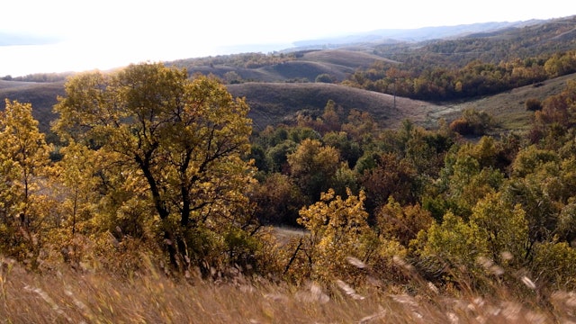 Autumn Prairie Lakeside Hills