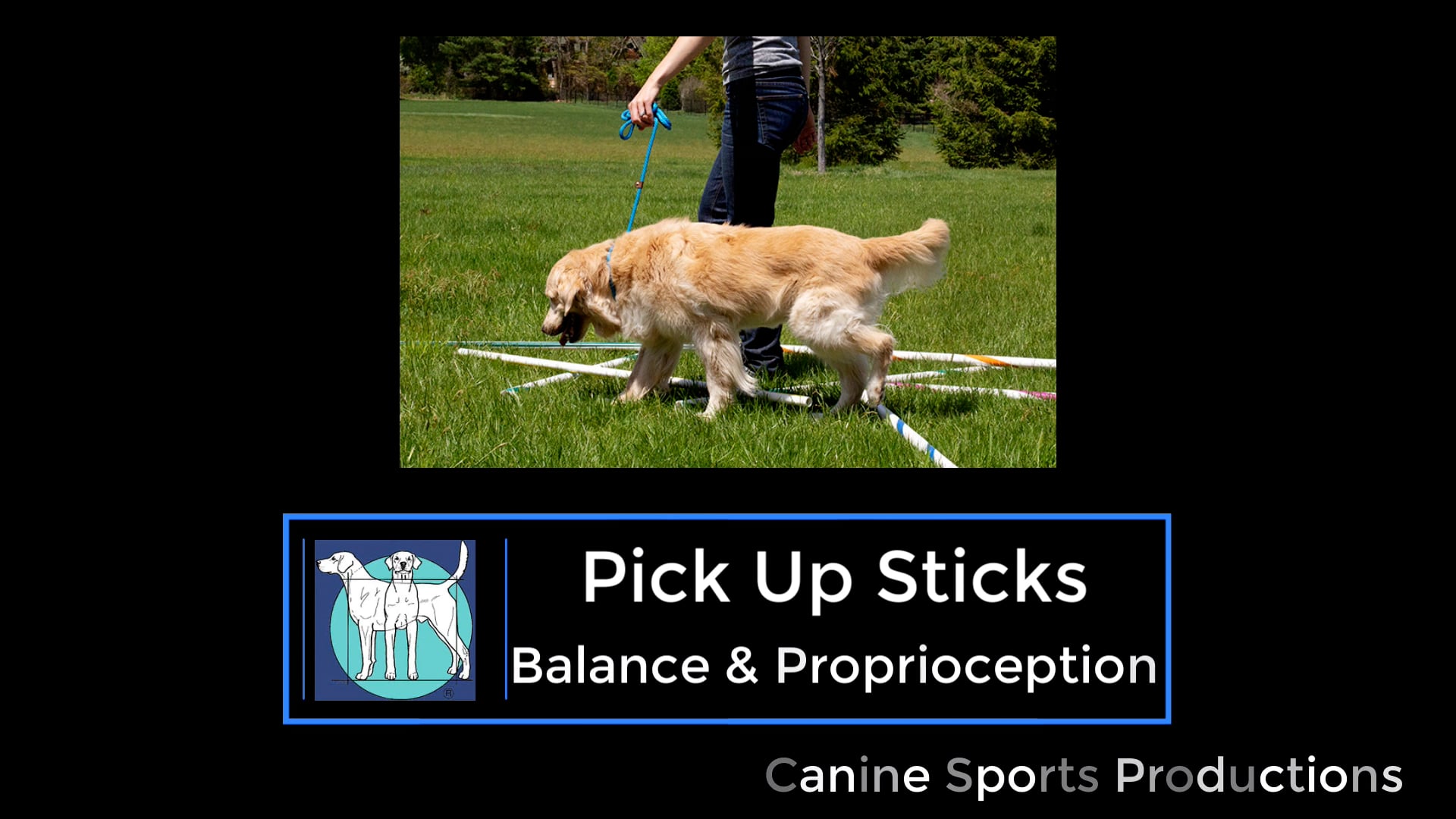 B&P5 - Pick Up Sticks (PUS)