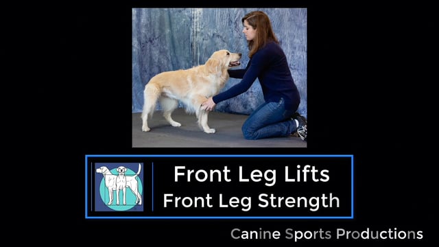 FL1 - Front Leg Lifts (FLL)