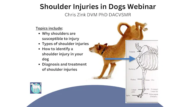 Shoulder Injuries in Dogs Webinar