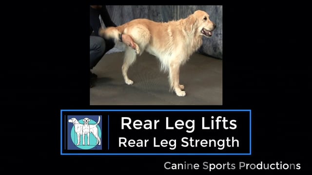 RL1 - Rear Leg Lifts (RLL)