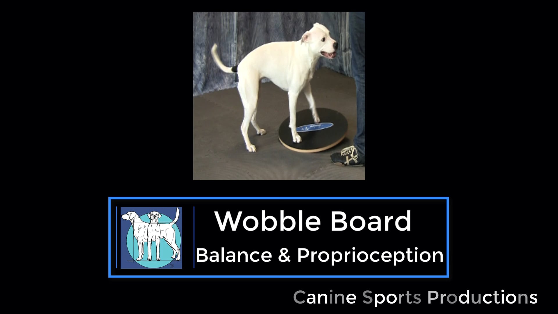 B&P4 - Wobble Board (WOB)