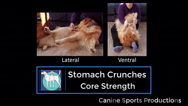 C8 - Stomach Crunches (STC)