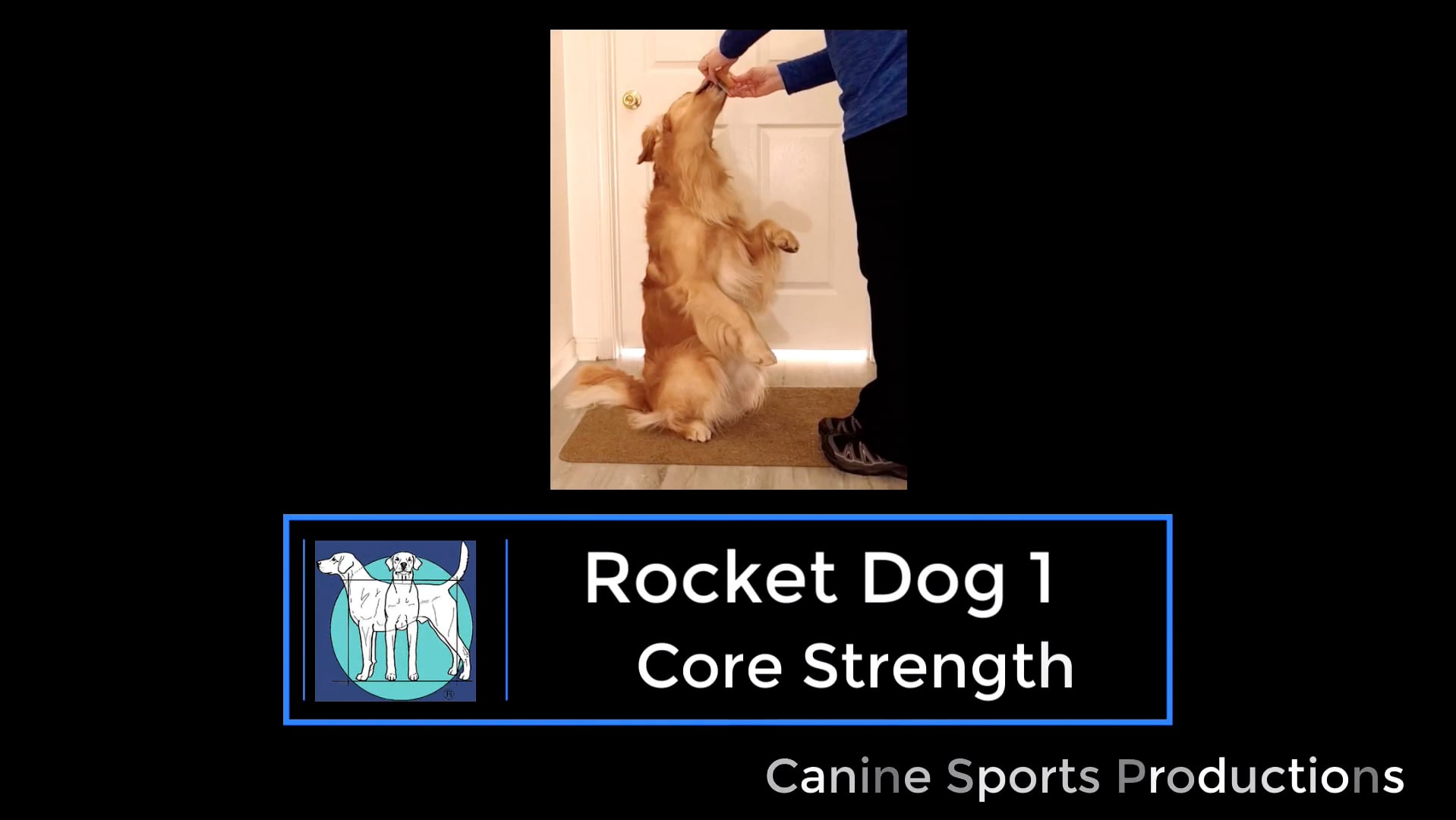 C1 - Rocket Dog 1 (RD1)