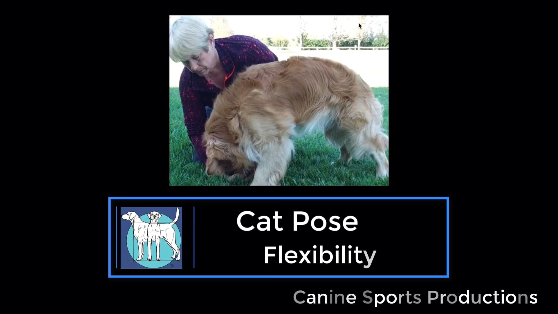 F2 - Cat Pose (CP)