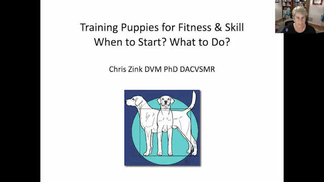 Exercising and Training Puppies - What to do When! by Dr. Chris Zink of Canine Sports Productions