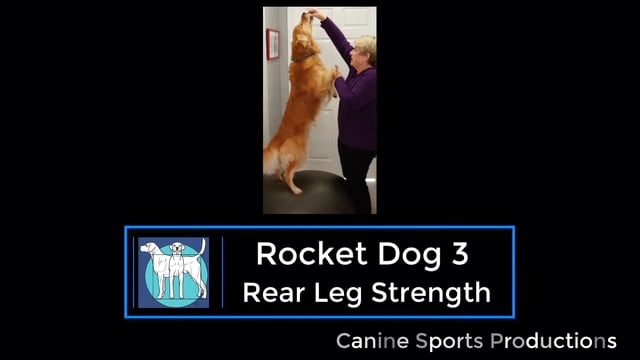 RL4 - Rocket Dog 3 (RD3)