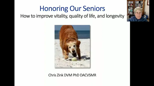 Honoring Our Senior Dogs by Dr. Chris Zink of Canine Sports Productions