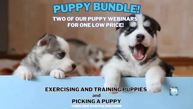 Puppy Bundle Webinars