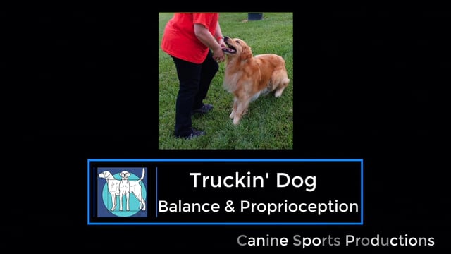 B&P3 - Truckin Dog (TRD)