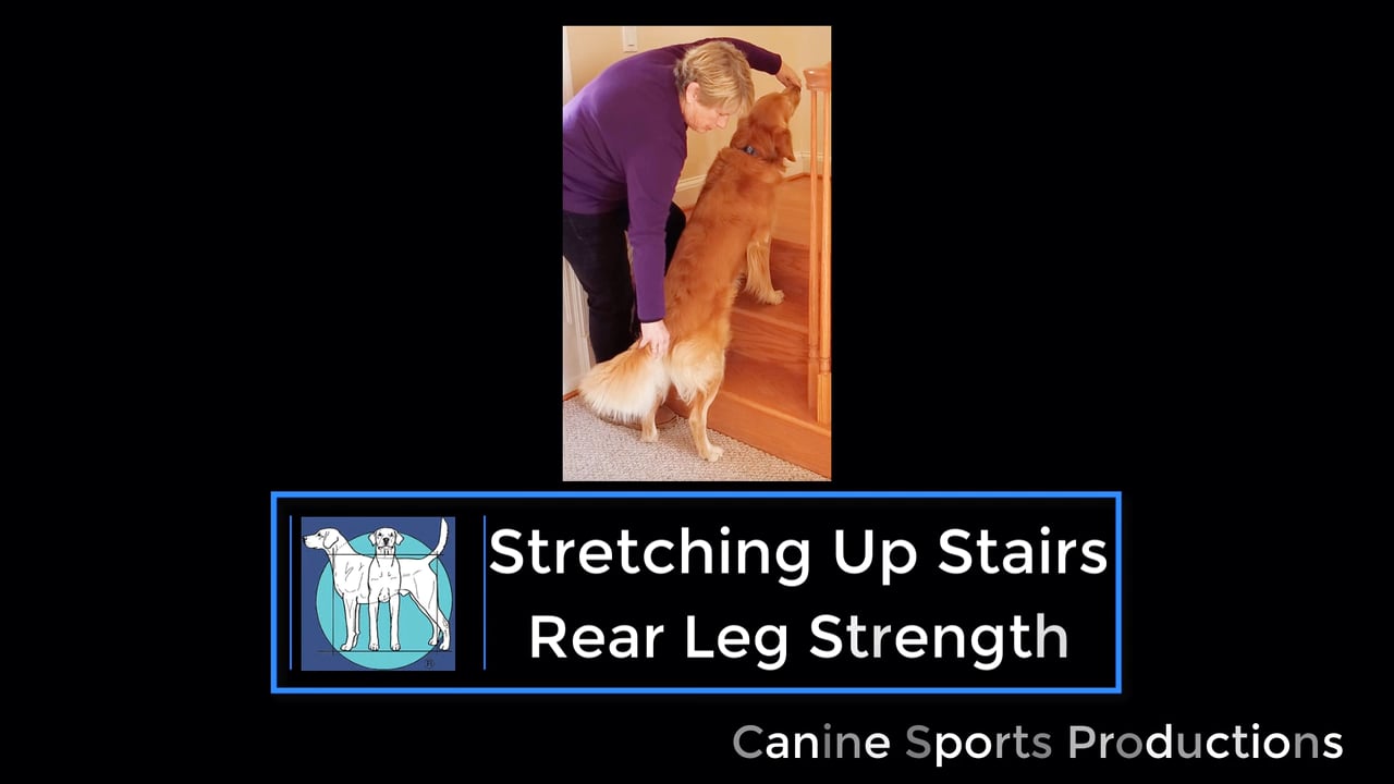 RL6 - Stretching Up Stairs (SUS)