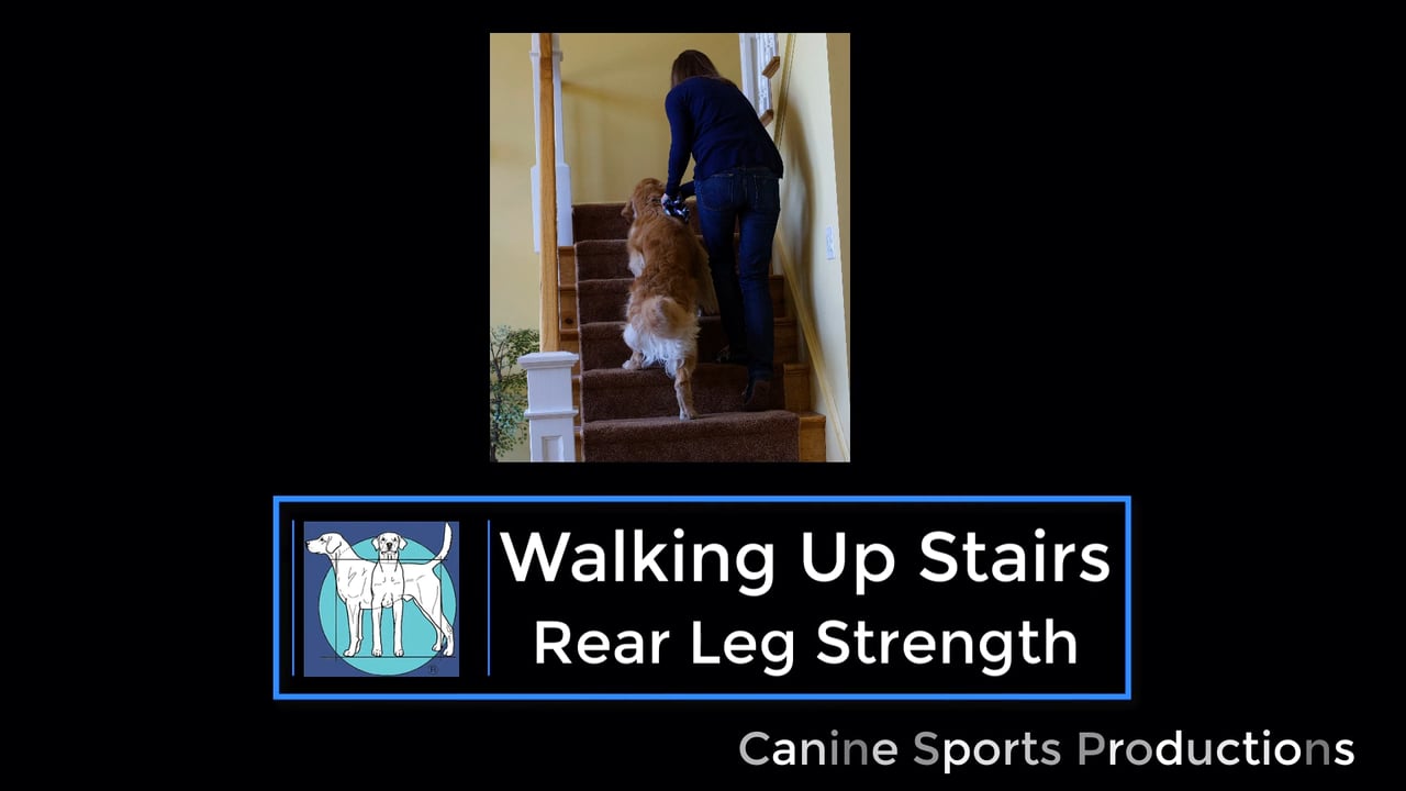 RL2 - Walking Up Stairs (WUS)