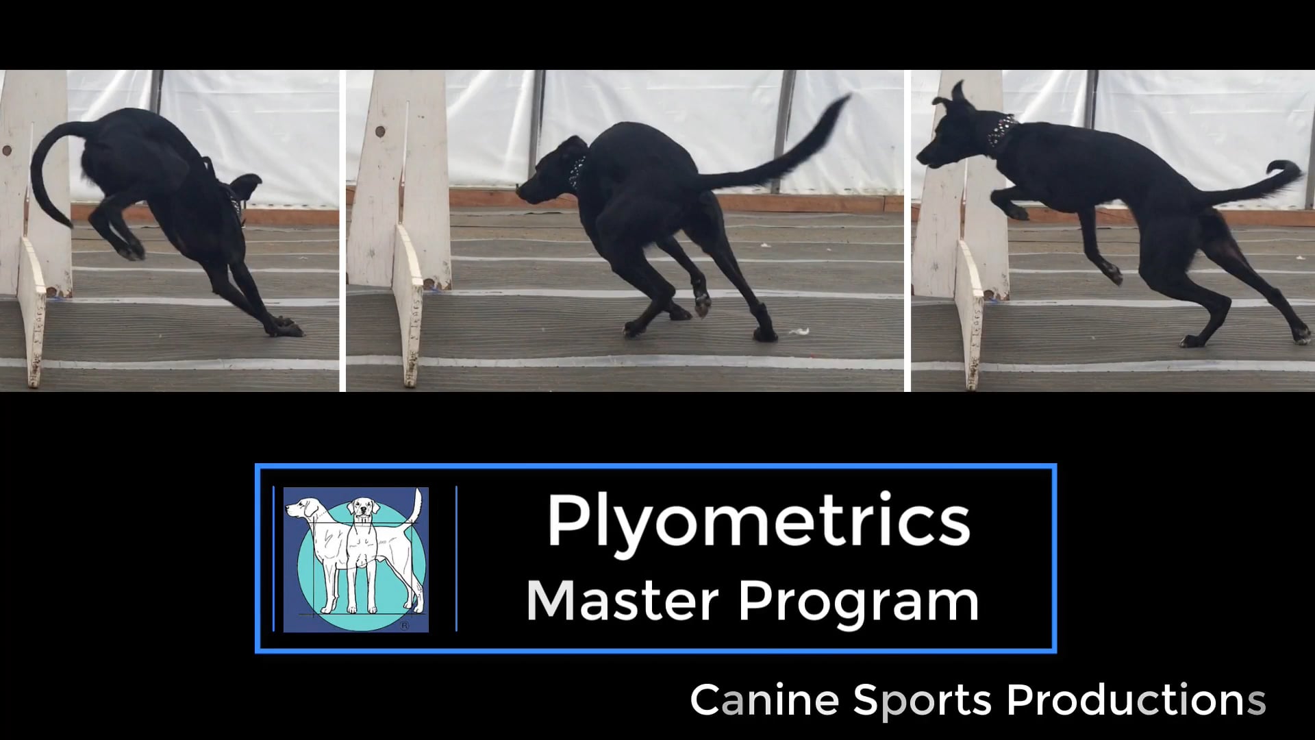M-PLY - Plyometrics