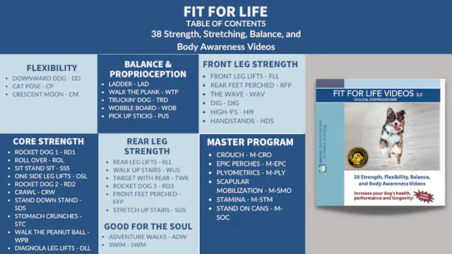 Fit For Life Videos 3.0