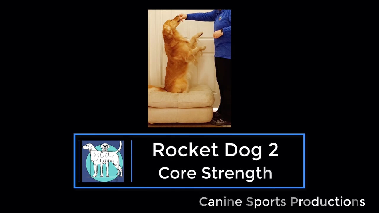 C5 - Rocket Dog 2 (RD2)