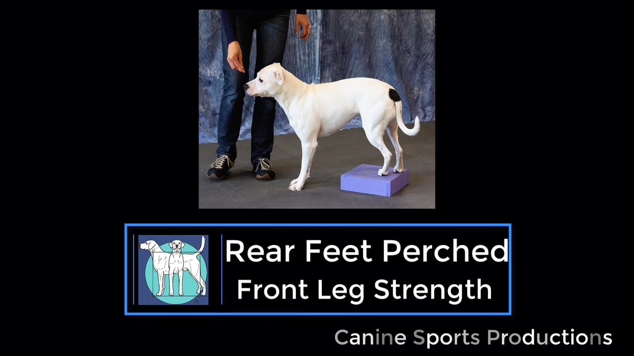 FL2 - Rear Feet Perched (RFP)