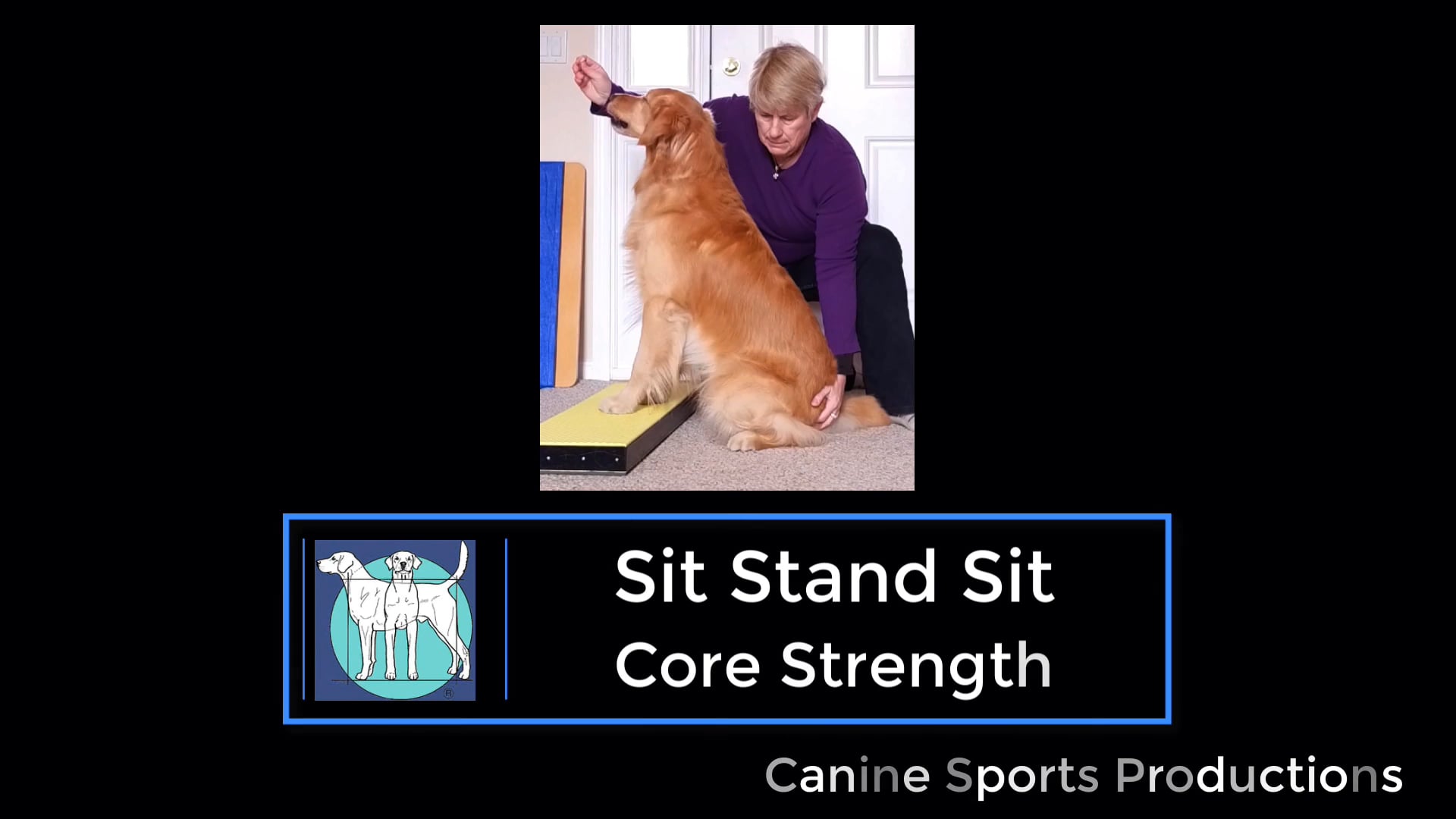 C3 - Sit Stand Sit (SSS)
