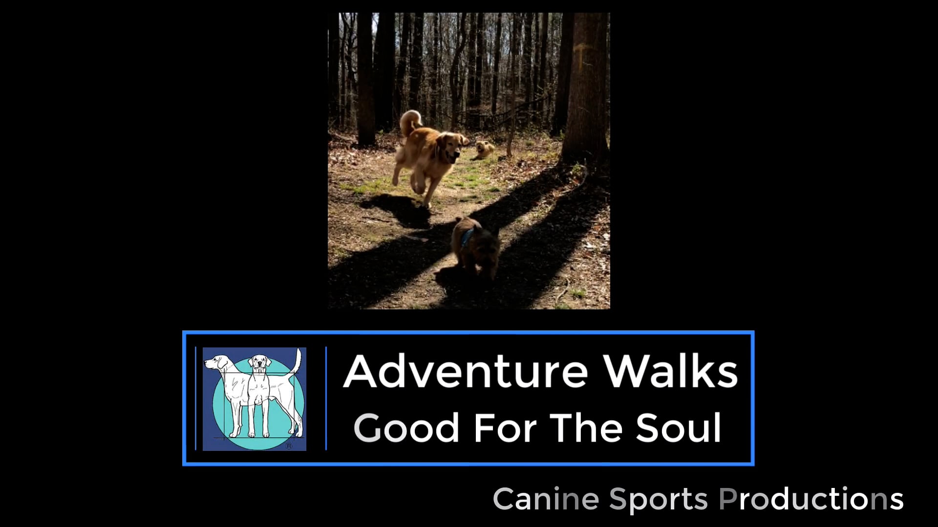 GFTS - Adventure Walks