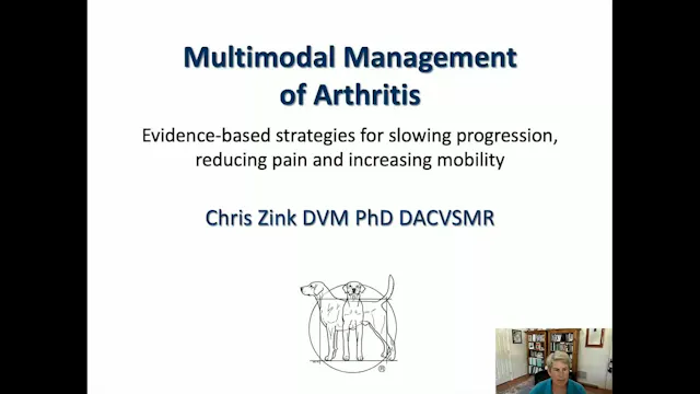 Managing Arthritis in Active Dogs by Dr. Chris Zink of Canine Sports Productions