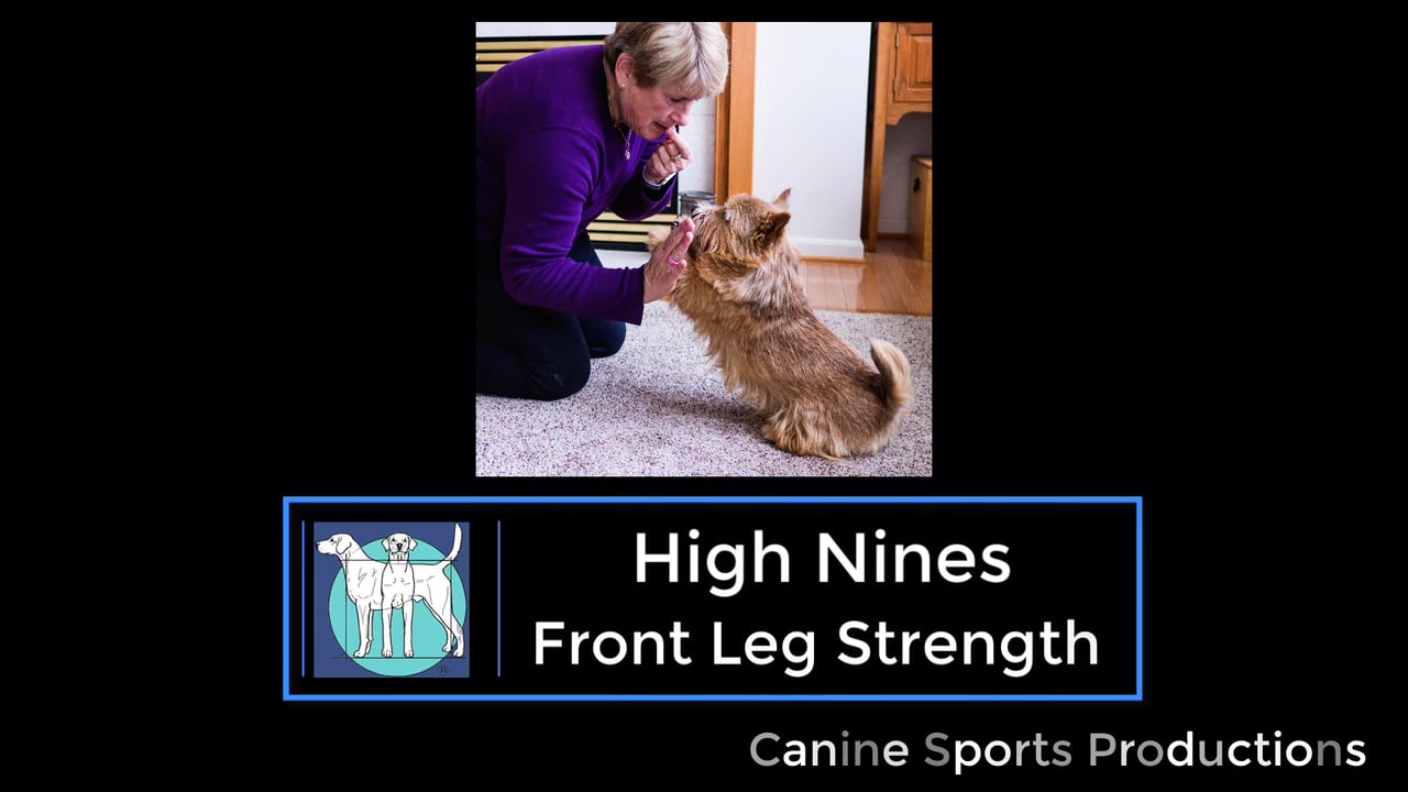 FL5 - High Nines (HI9)