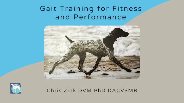 Gait Training for Fitness and Performance