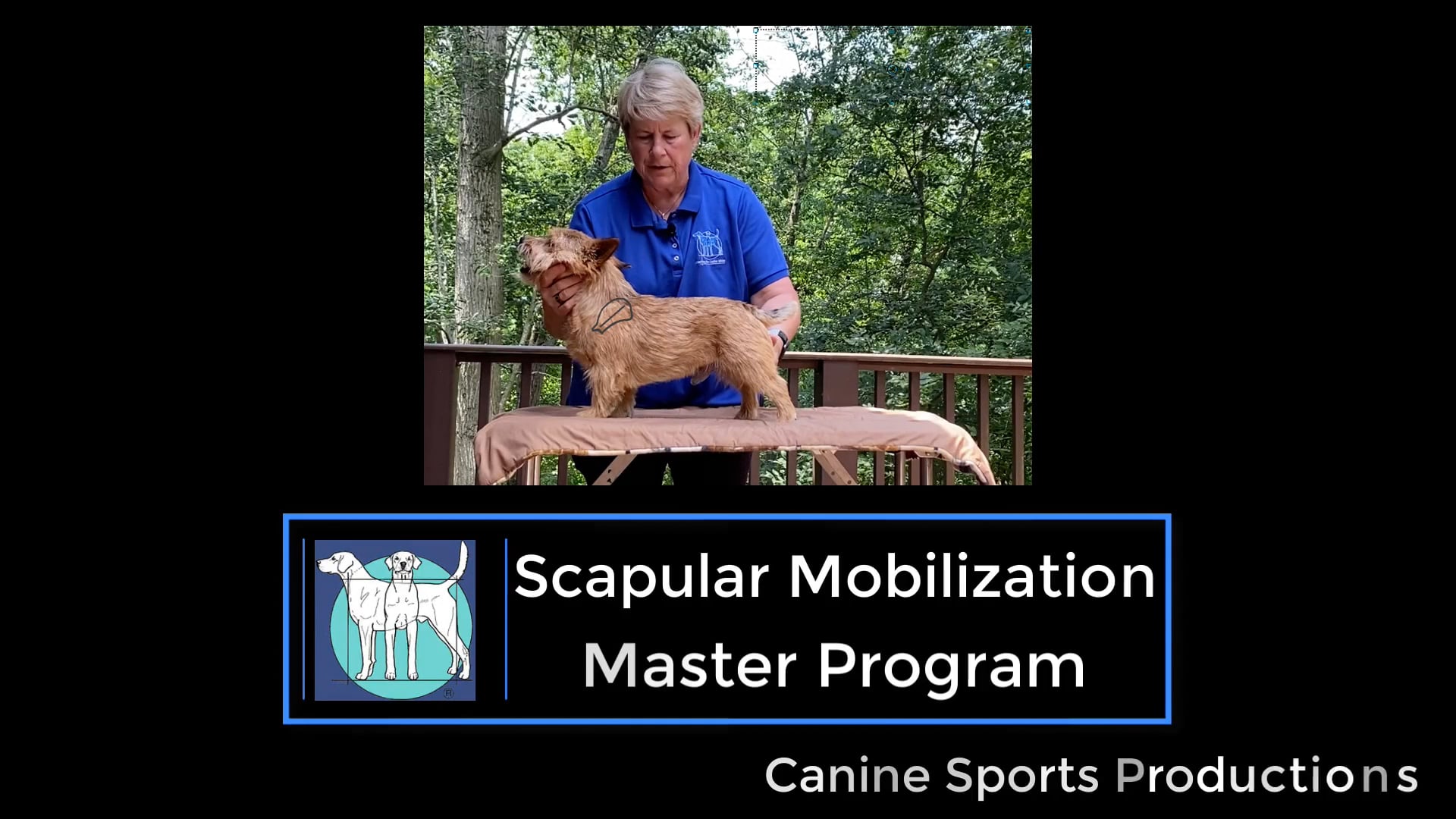M-SMO - Scapular Mobilization