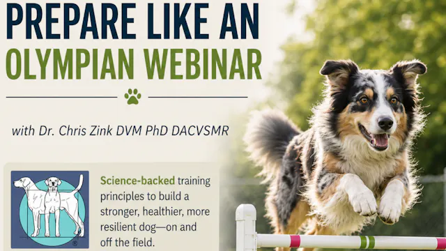 Prepare Like an Olympian Webinar