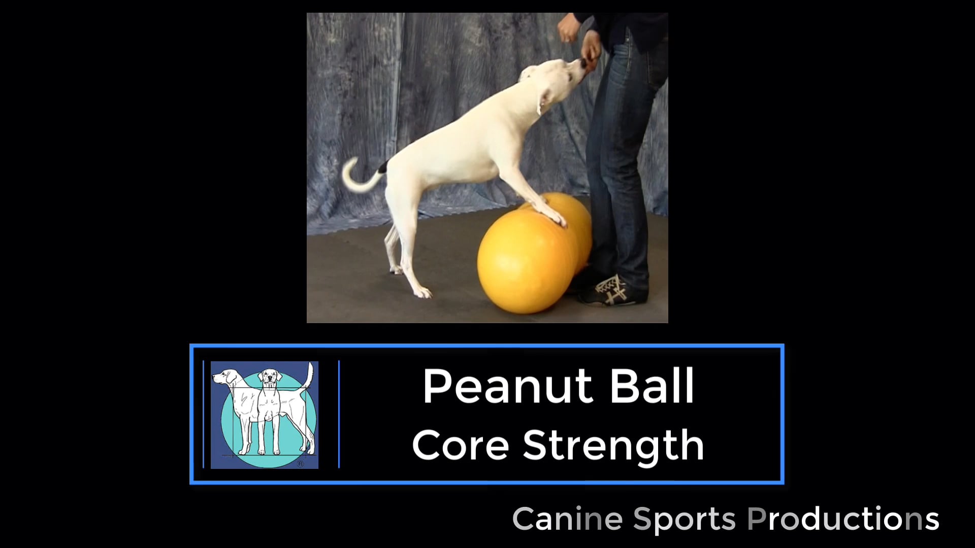 C9 - Walking a Peanut Ball (WPB)