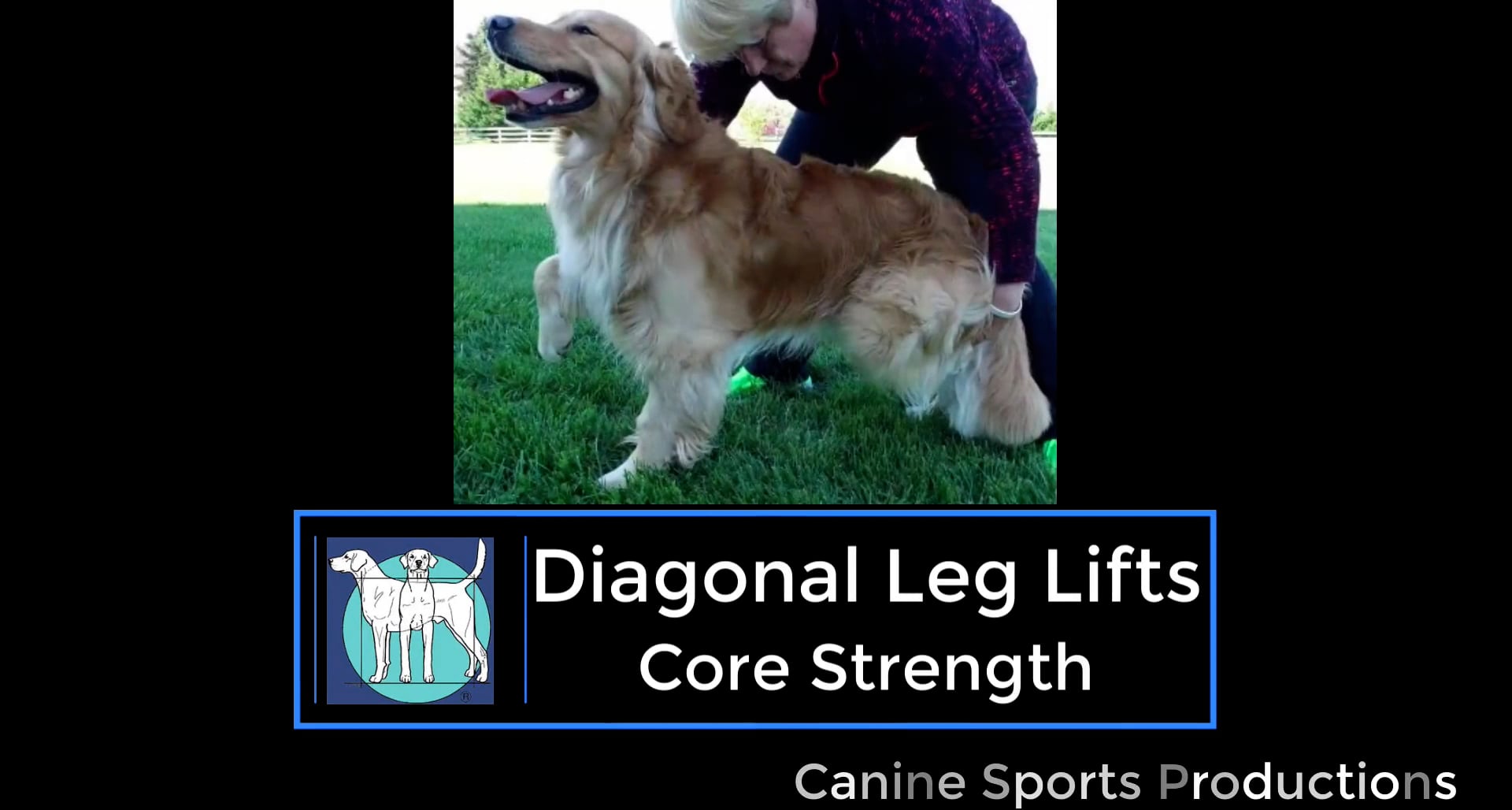 C10 - Diagonal Leg Lifts (DLL)