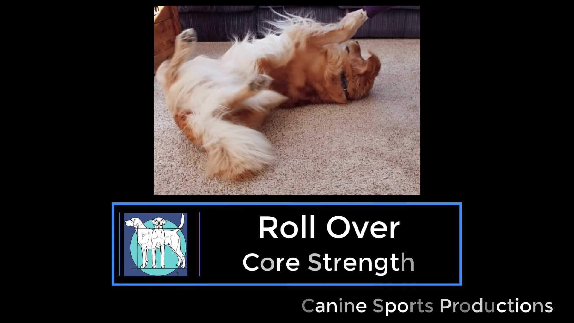 C2 - Roll Over (ROL)