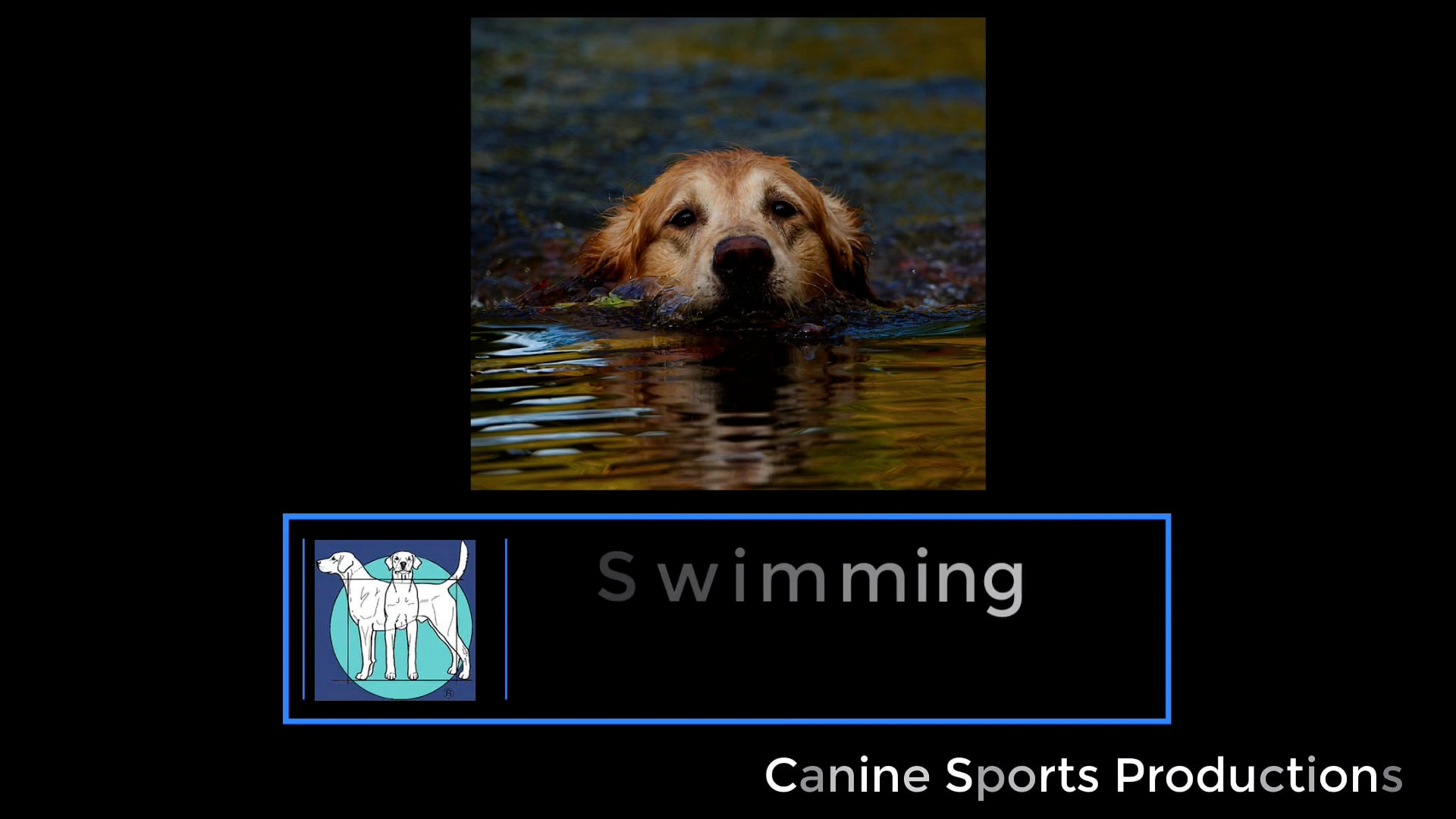 GFTS - Swimming