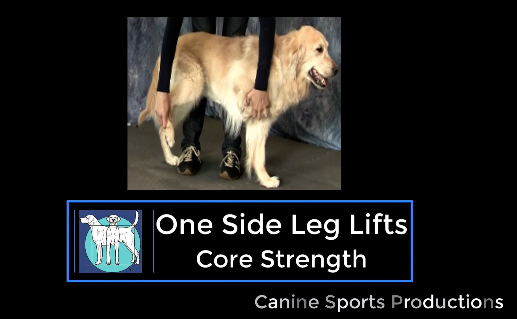 C4 - One Side Leg Lifts (OSL)