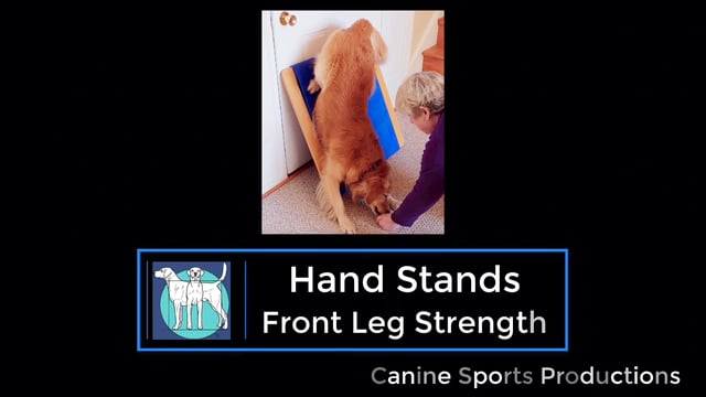 FL6 - Hand Stands (HDS)