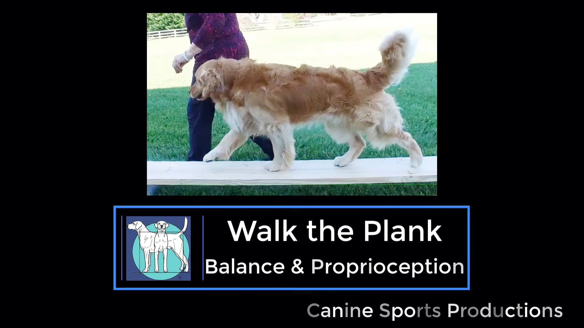 B&P2 - Walk the Plank (WTP)