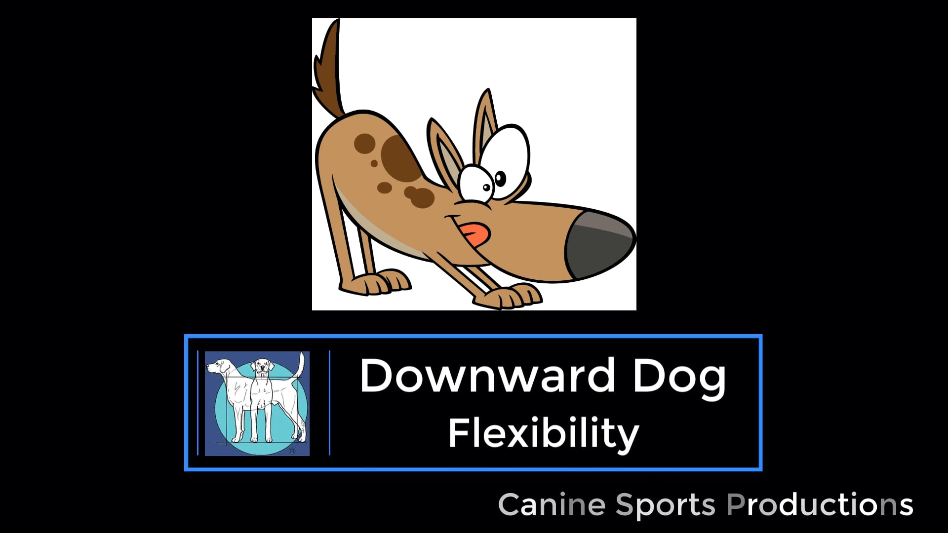 F1 - Downward Dog (DD)