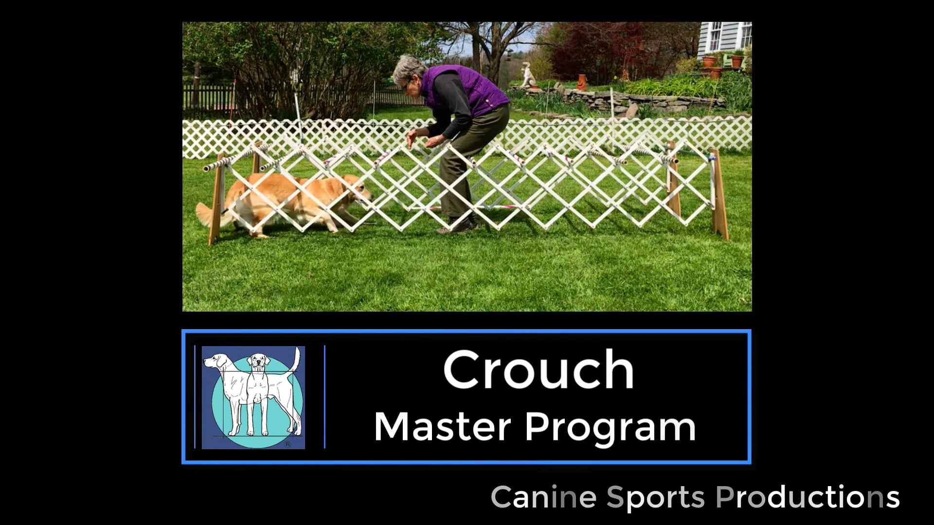 M-CRO - Crouch Exercise