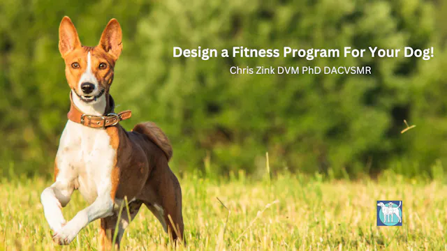 Design a Fitness Program for Your Dog